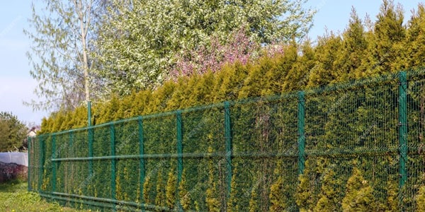 Pose de grillages et clôtures de jardin